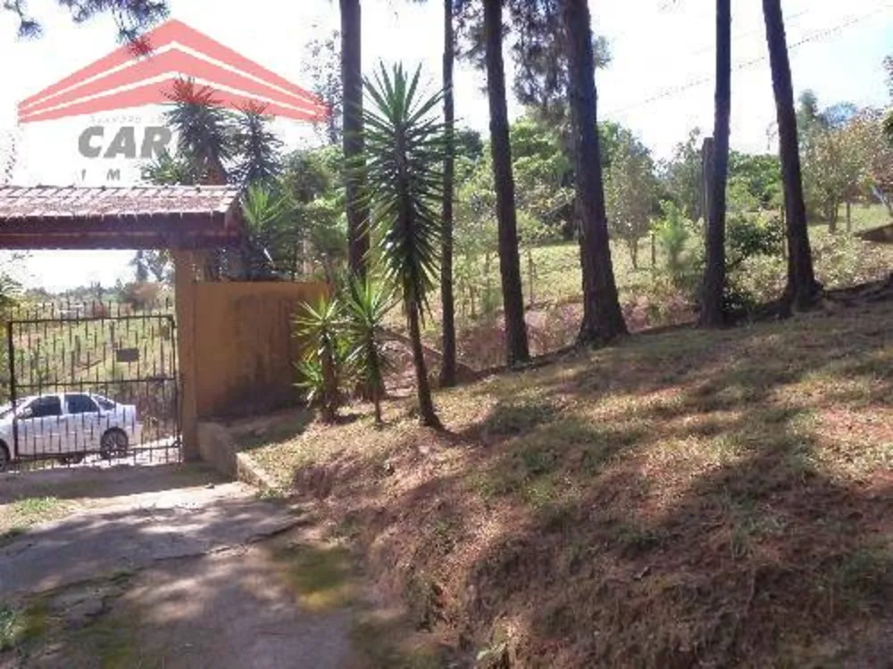 Sítio, 3 quartos, 3800 m² - Foto 8