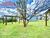 Terreno, 150 m² - Foto 5