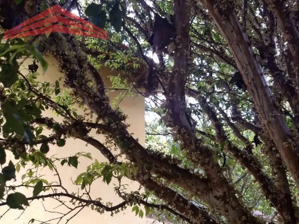 Chácara, 2 quartos, 1728 m² - Foto 15