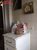 Apartamento, 2 quartos, 81 m² - Foto 4