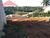 Terreno, 1000 m² - Foto 3