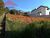 Terreno, 1000 m² - Foto 2