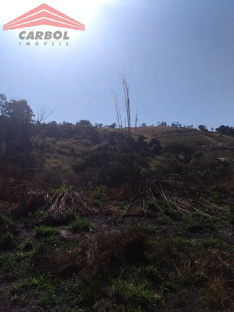Terreno, 2 hectares - Foto 2
