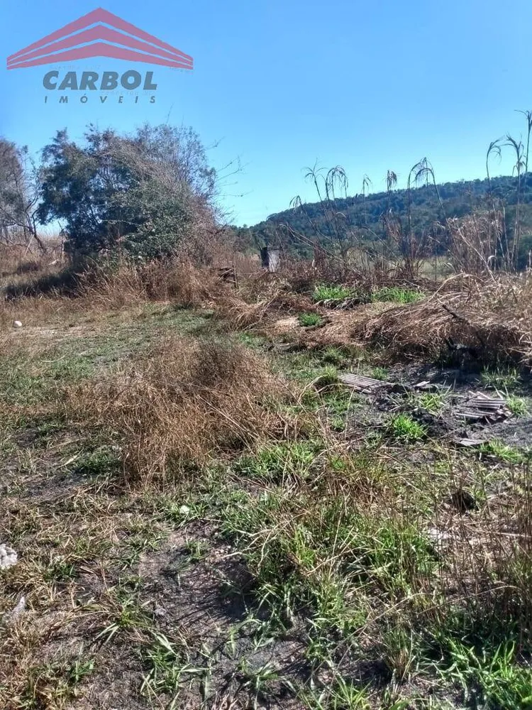 Terreno, 2 hectares - Foto 3