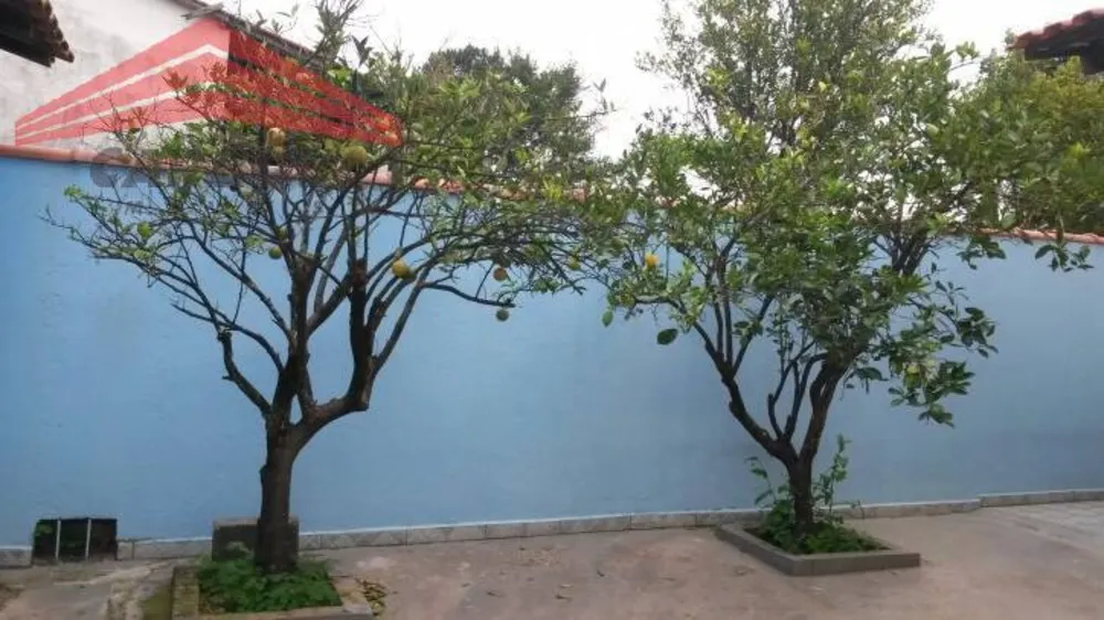 Casa, 3 quartos, 255 m² - Foto 6
