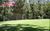 Terreno, 700 m² - Foto 7