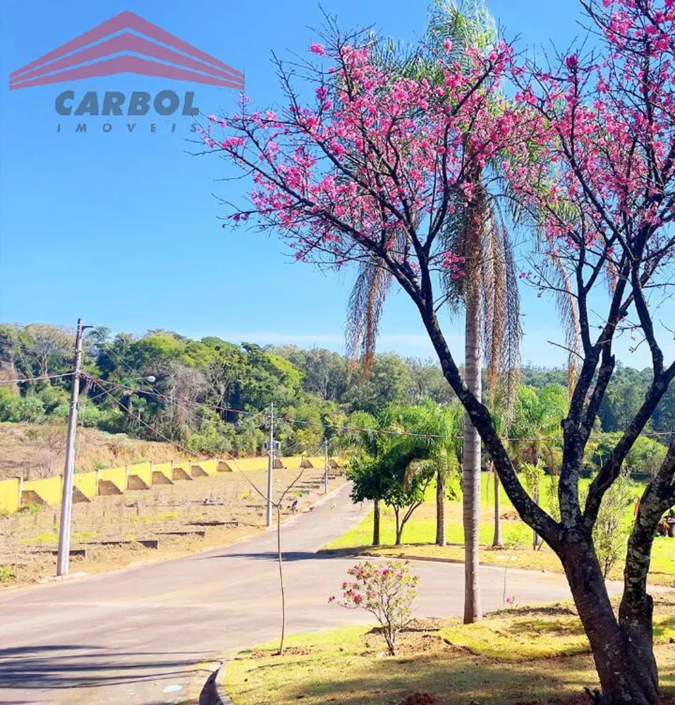 Terreno, 318 m² - Foto 5