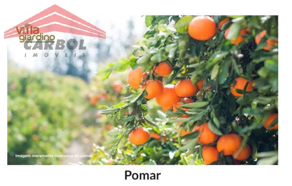 Terreno, 318 m² - Foto 6