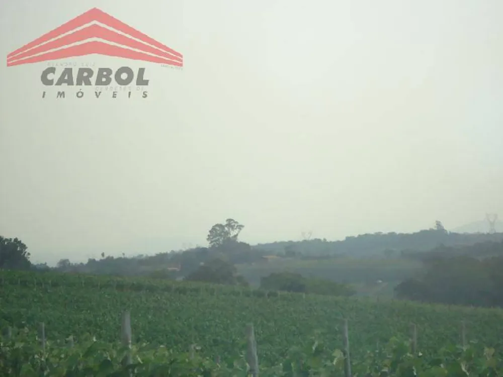 Terreno, 15 hectares - Foto 7