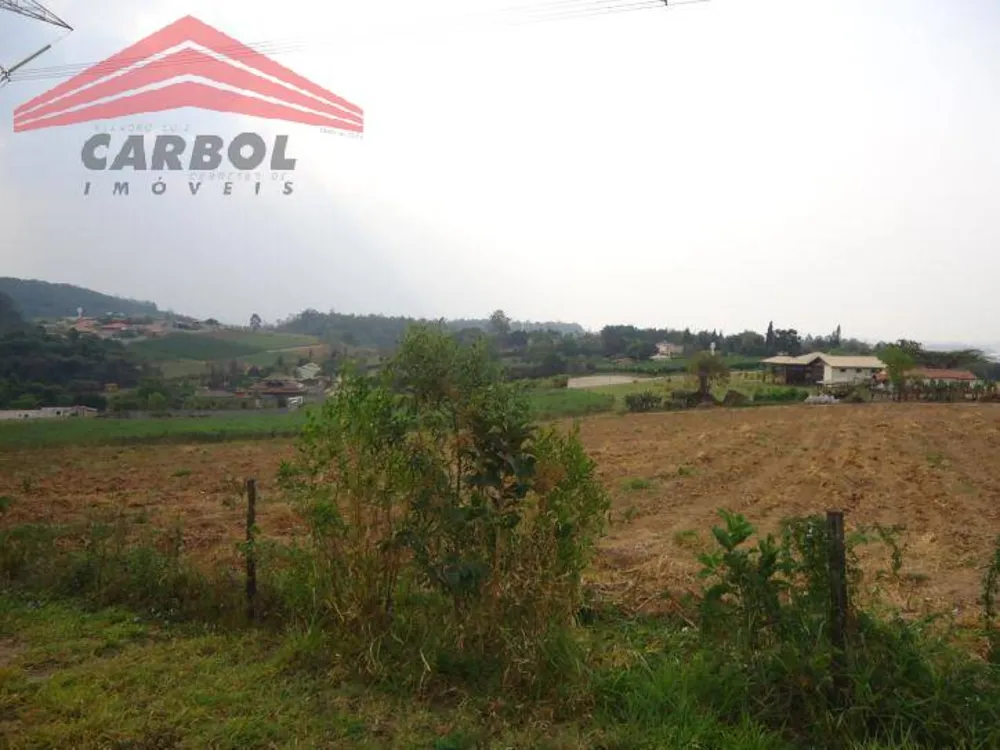Terreno, 15 hectares - Foto 4
