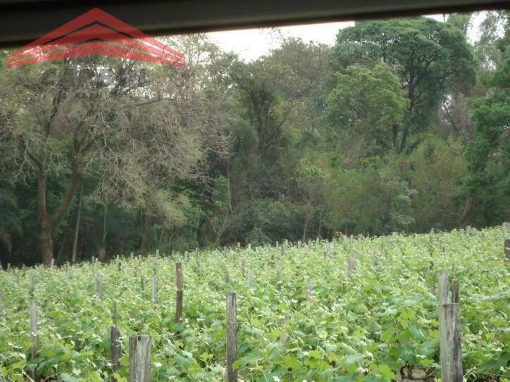 Terreno, 15 hectares - Foto 12