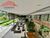 Terreno, 483 m² - Foto 2