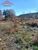 Terreno, 2 hectares - Foto 2
