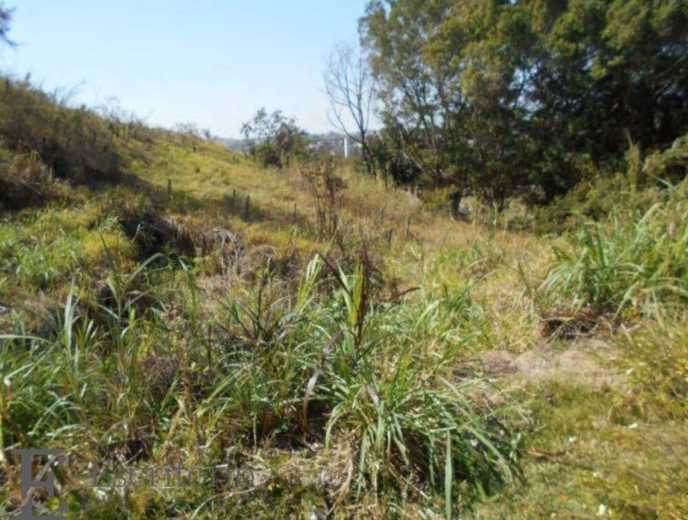Loteamento e Condomínio, 3 hectares - Foto 4