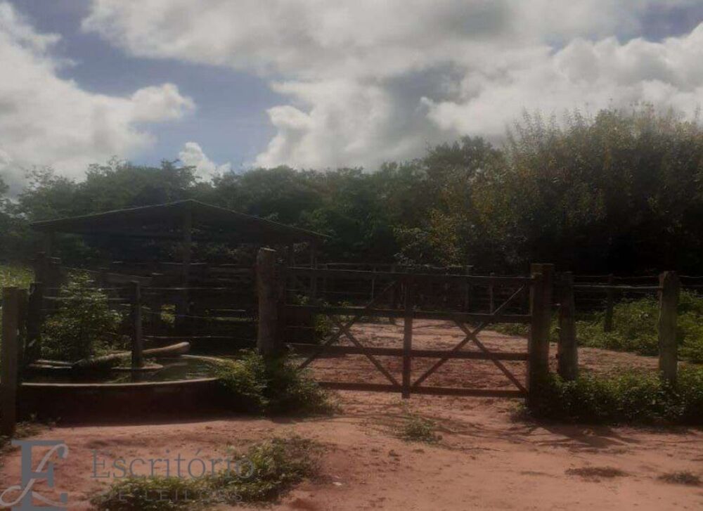 Fazenda, 324 m² - Foto 4