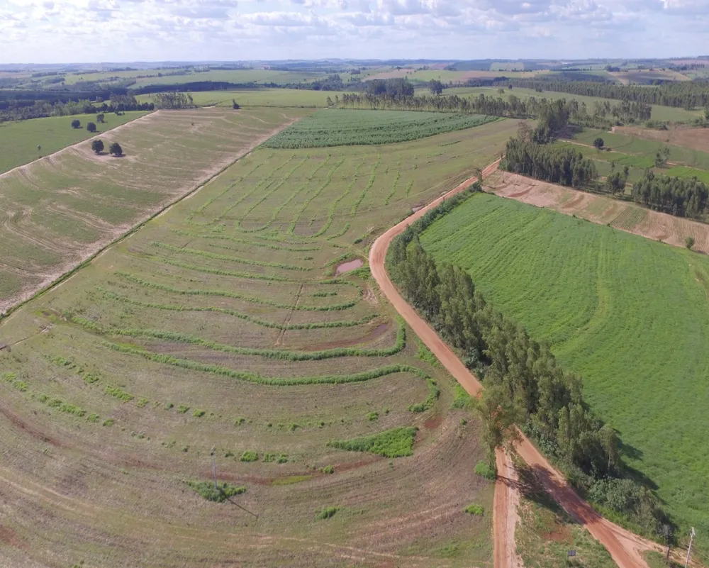 Fazenda - Foto 5