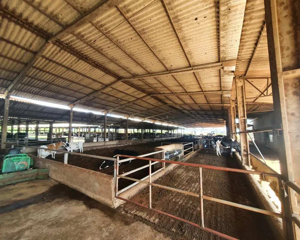 Fazenda - Foto 10
