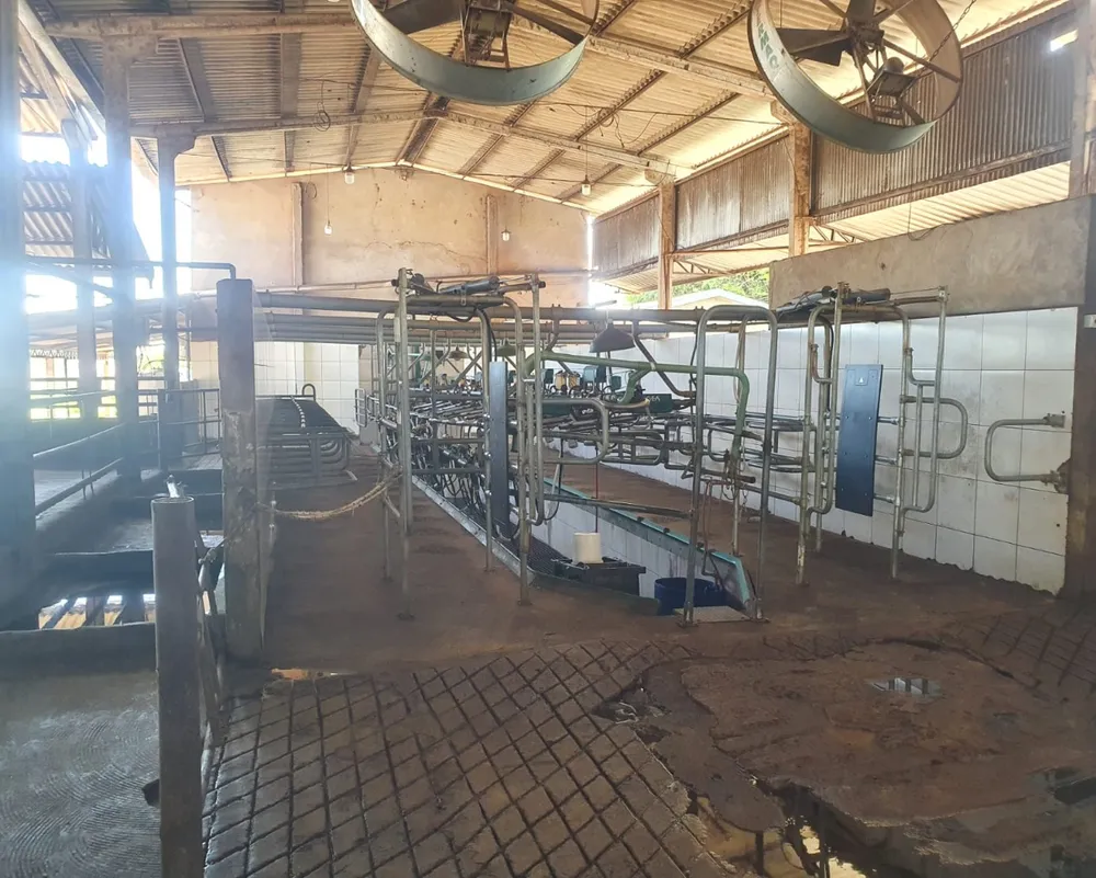 Fazenda - Foto 11