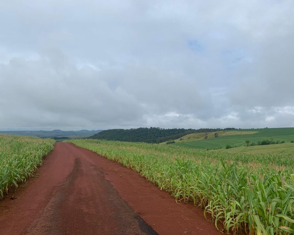 Sítio à venda - Foto 8