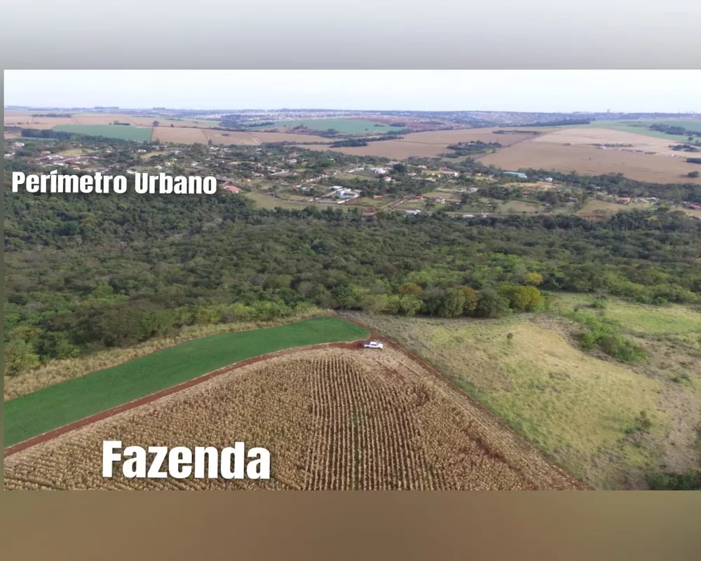 Fazenda - Foto 1