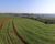 Fazenda - Foto 4