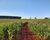 Fazenda - Foto 3