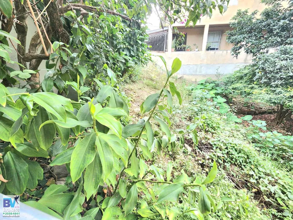 Casa, 3 quartos, 320 m² - Foto 19