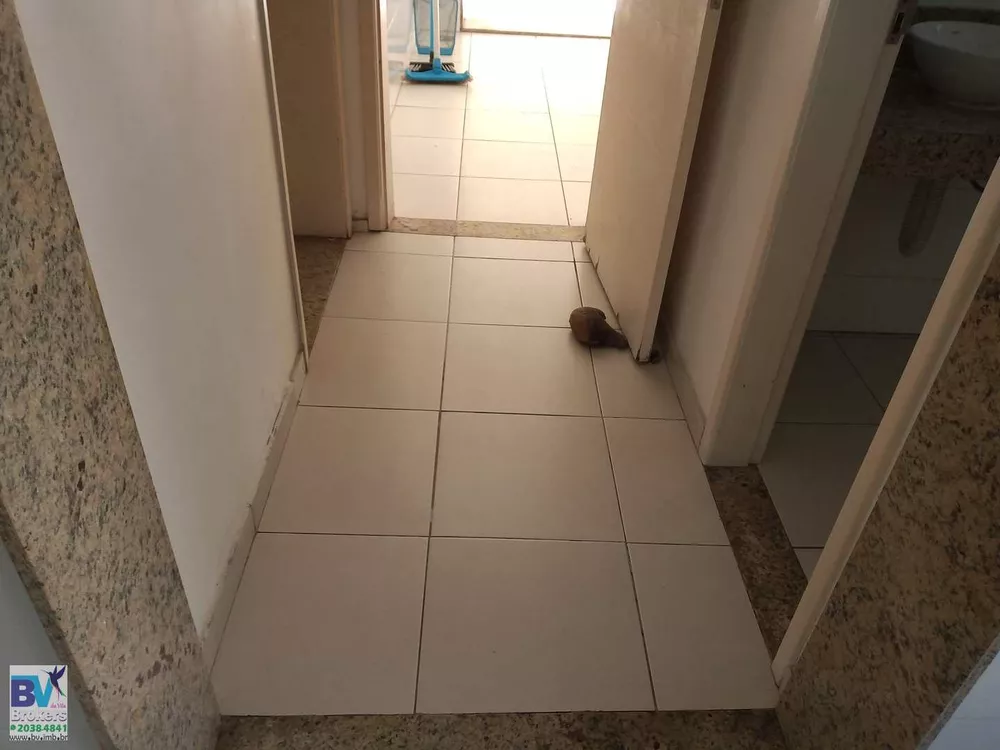 Casa, 4 quartos, 415 m² - Foto 21