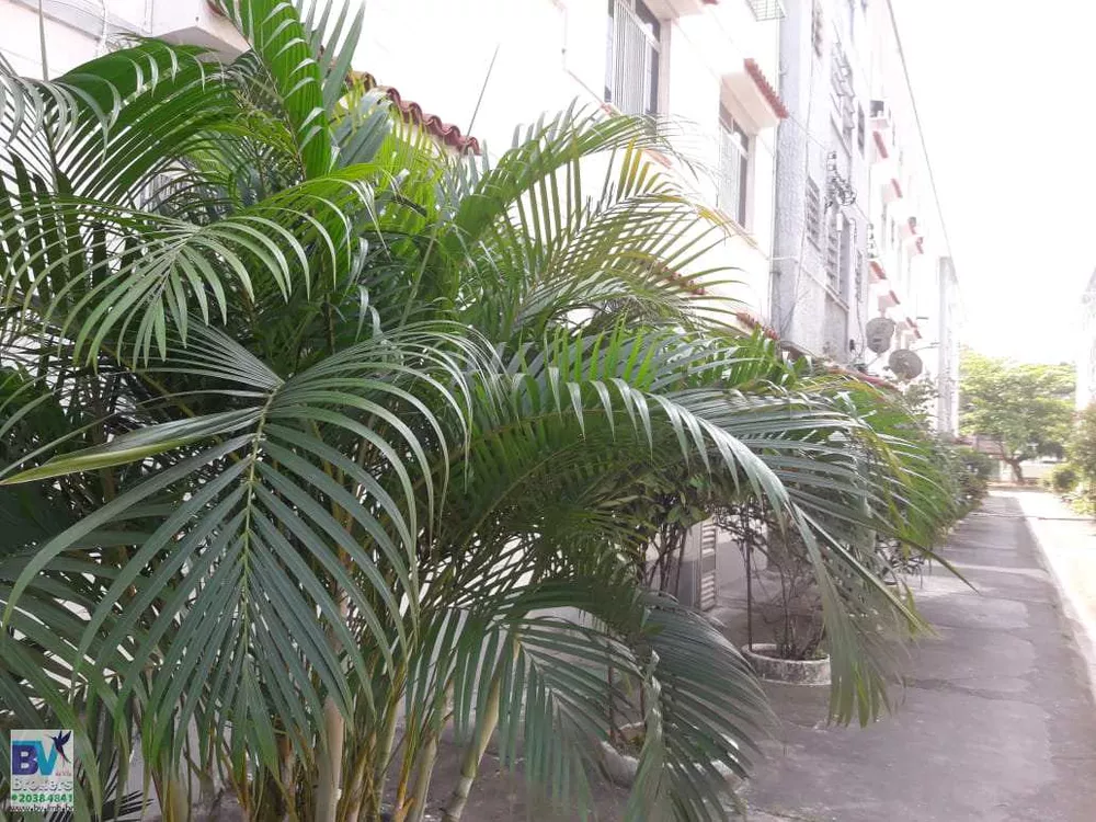 Apartamento, 3 quartos, 78 m² - Foto 2