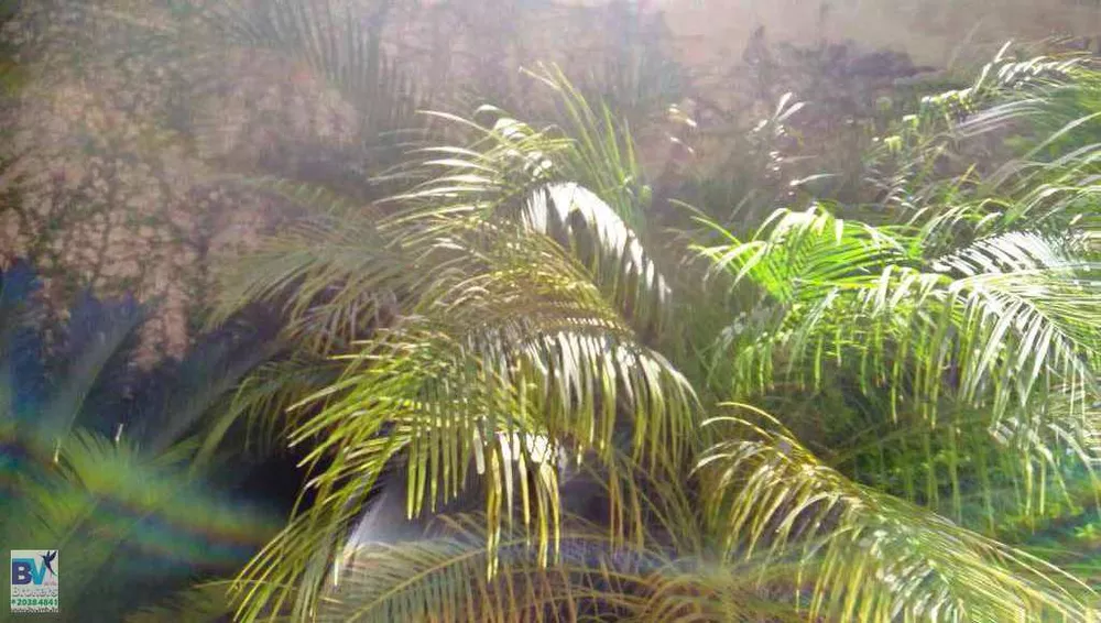 Casa, 3 quartos, 140 m² - Foto 43