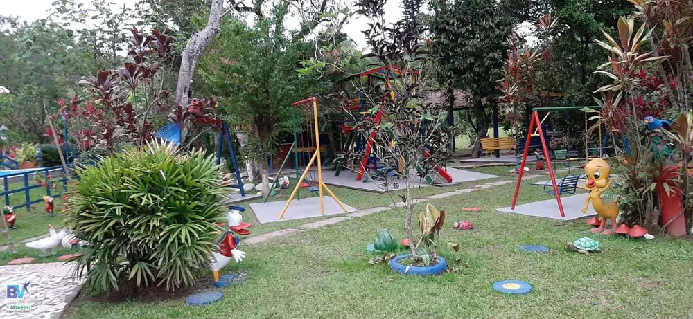 Sítio, 4000 m² - Foto 6