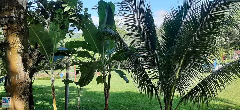 Sítio, 4000 m² - Foto 62