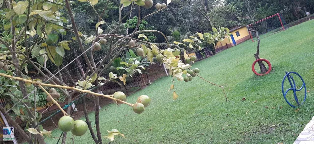 Sítio, 4000 m² - Foto 79