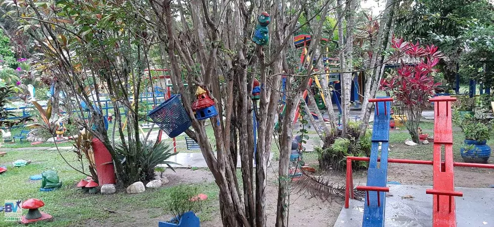 Sítio, 4000 m² - Foto 84