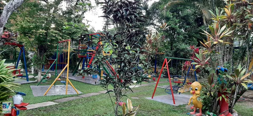 Sítio, 4000 m² - Foto 78