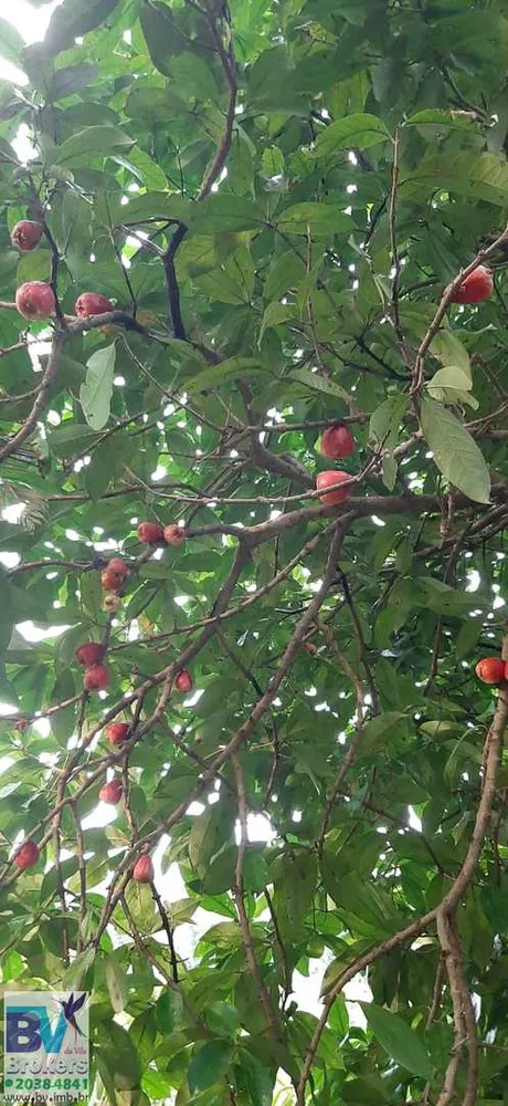 Sítio, 4000 m² - Foto 85