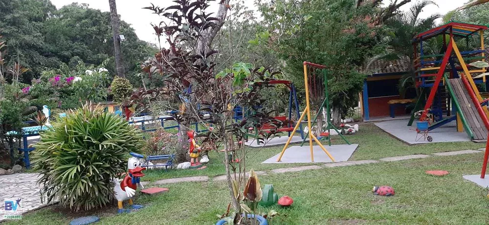 Sítio, 4000 m² - Foto 8