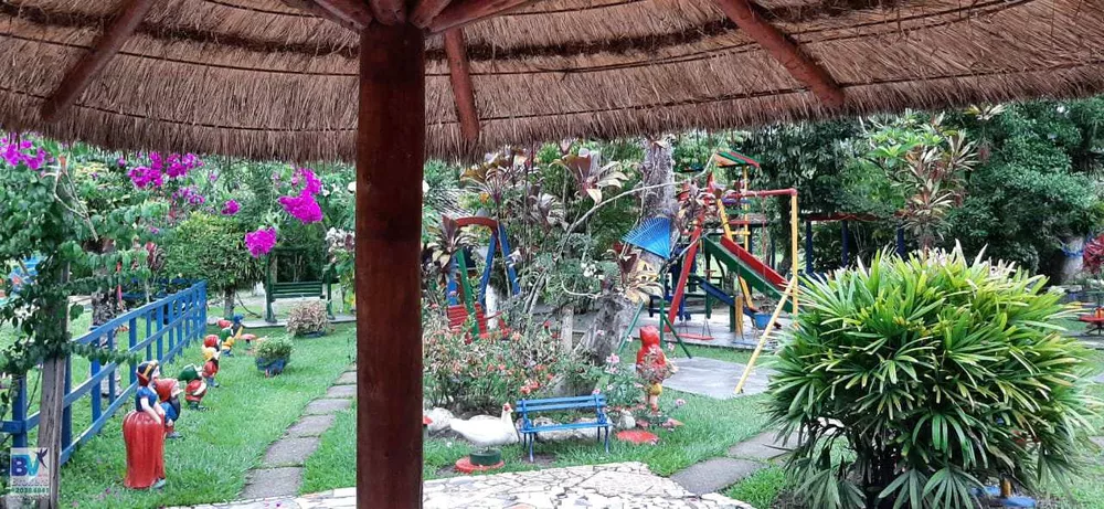 Sítio, 4000 m² - Foto 81