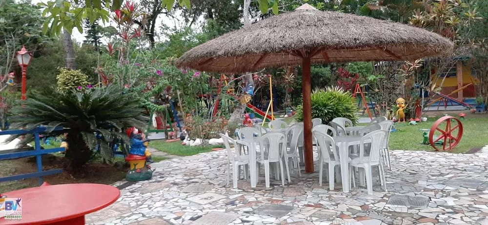 Sítio, 4000 m² - Foto 4