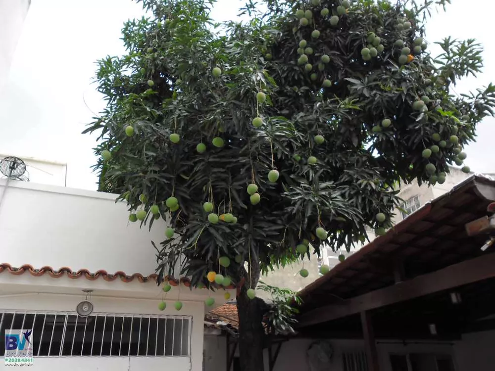 Casa, 3 quartos, 107 m² - Foto 22
