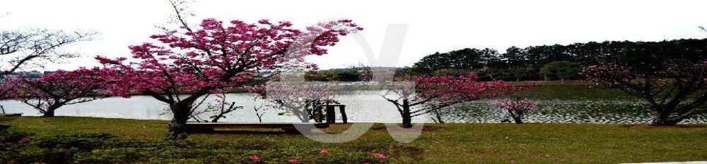 Terreno, 466 m² - Foto 12