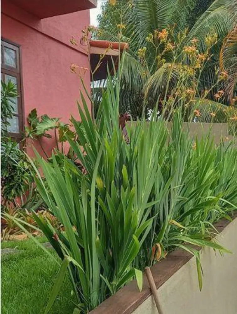 Casa, 3 quartos, 180 m² - Foto 10