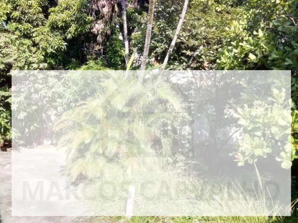Casa, 800 m² - Foto 3