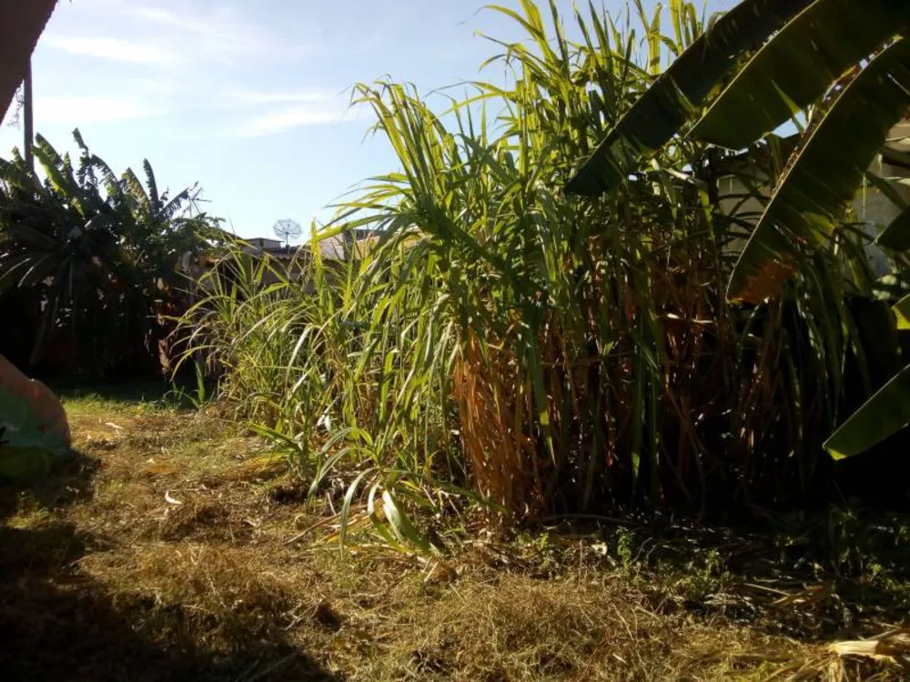 Terreno, 400 m² - Foto 3