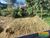 Terreno, 562 m² - Foto 3