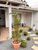 Casa, 2 quartos, 56 m² - Foto 3