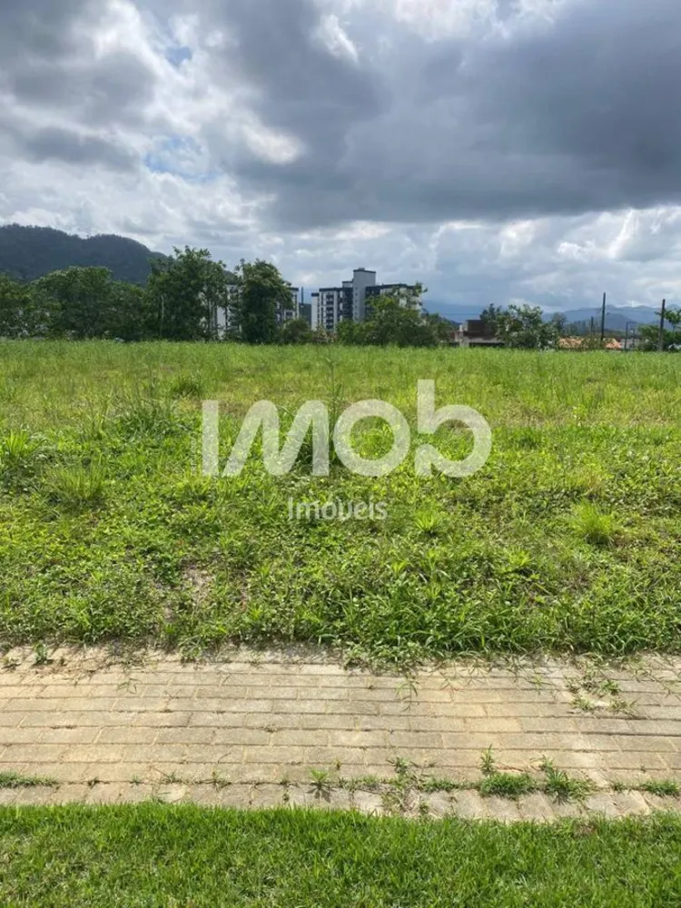 Terreno, 328 m² - Foto 3