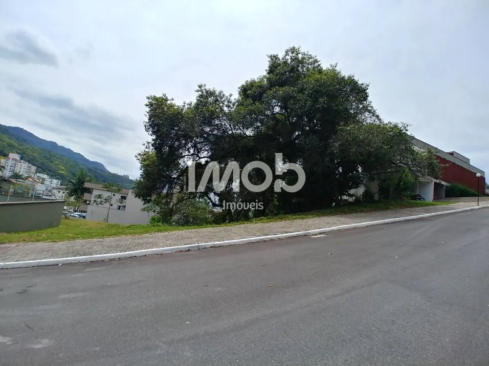 Terreno, 1851 m² - Foto 5