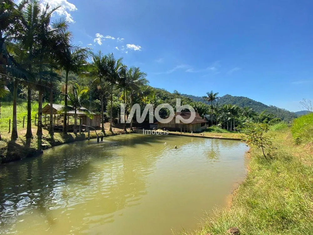 Chácara, 5 quartos, 14 hectares - Foto 2