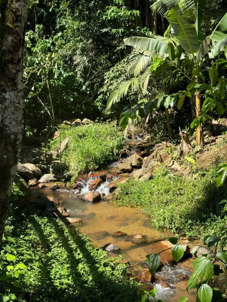 Chácara, 5 quartos, 2 hectares - Foto 6